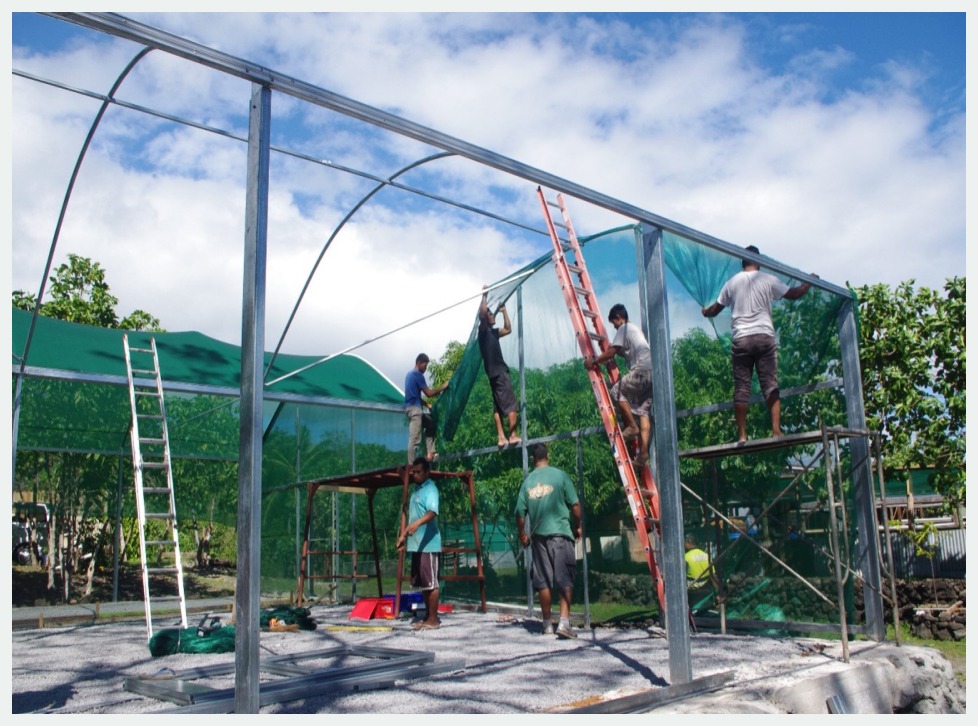Multiple men constructing a shadehouse