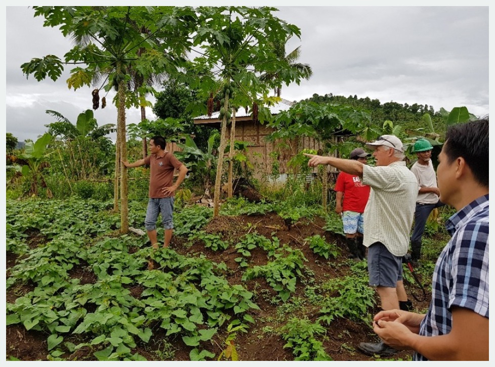 5 men standing in a cacao farm and looking where one man is pointing